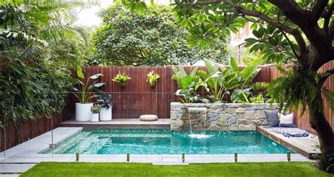 Pool plants: complete guide - Global Gardening Secrets