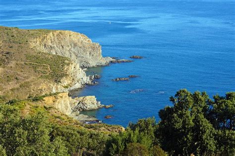 France Marine natural reserve of Cerbère Banyuls