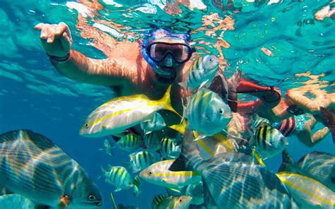 Tour En Catamarán A Isla Mujeres Con Todo Incluido Headout