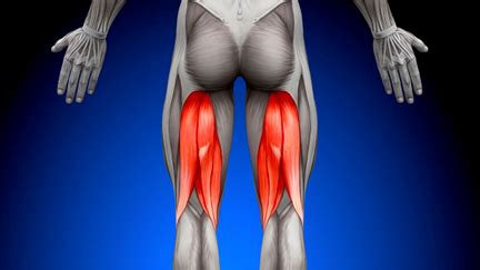 Understanding And Treating Hamstring Strain Injuries