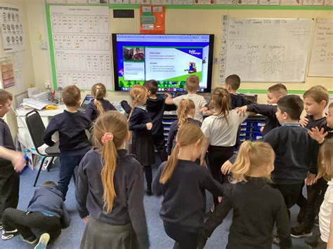 Bird experts | Plover School