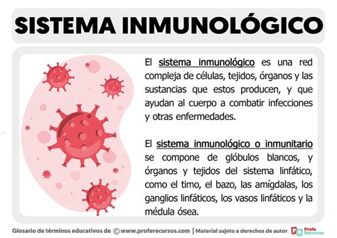 Qu Es El Sistema Inmunol Gico