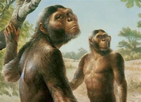 Manusia Purba Di Indonesia Meganthropus Paleojavanicus