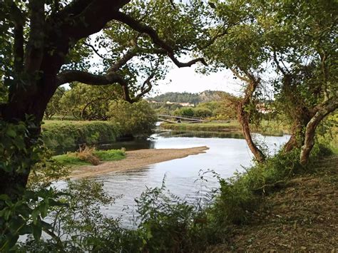 Viana Do Castelo Mulher De 50 Anos Morre Junto Ao Rio Neiva Jornal C