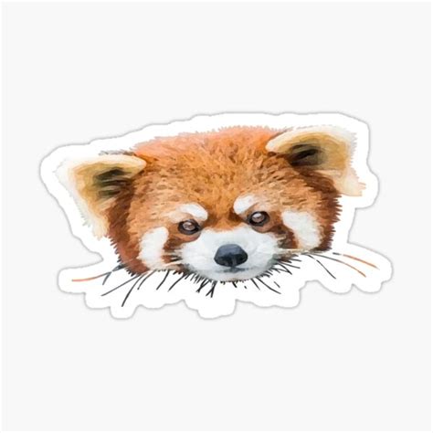 Red Panda Face Sticker For Sale By THEWGC Redbubble