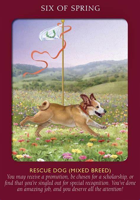 Six Of Spring Tarot Card in 2024 | Animal tarot cards, Animal tarot ...