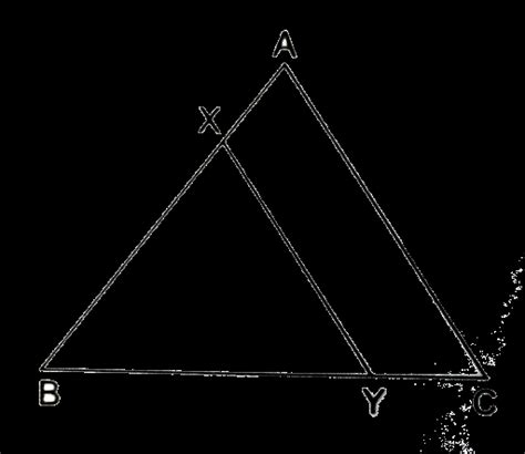 In The Given Figure Line The Segment Xy Is Parallel To Side Ac Of Abc A