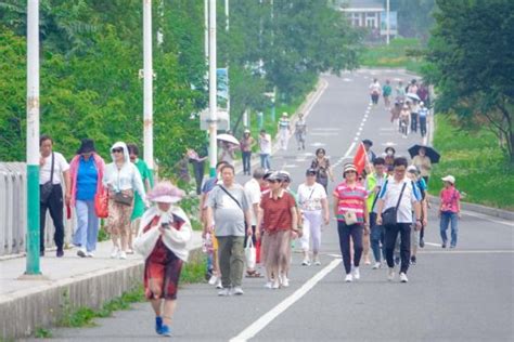 句容赤山湖国家湿地公园：夏日游人如织——中国新闻网江苏