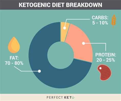 Keto Calculator The Easy Ketogenic Macro Calculator