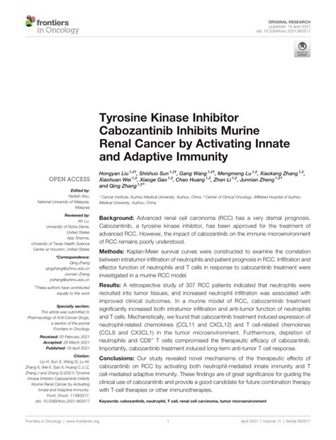 Pdf Tyrosine Kinase Inhibitor Cabozantinib Inhibits Murine Renal