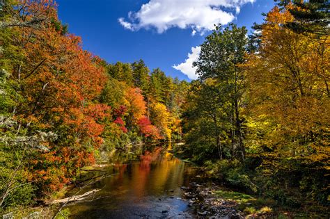 Visit Greenbrier Campground In The Great Smoky Mountains