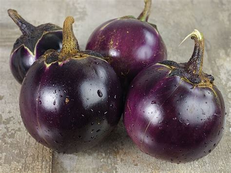 Thai Round Purple Eggplant Seeds Etsy