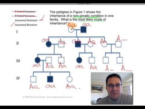 Pedigree Analysis 1 How To Solve A Genetic Pedigree No 1 YouTube