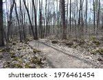 Valley hiking trail at Minnesota Valley State Park, Minnesota image ...