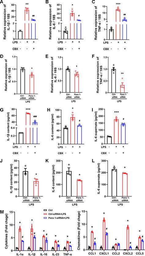 Both Cbx And Panx Sirna Treatment Reduces The Production Of