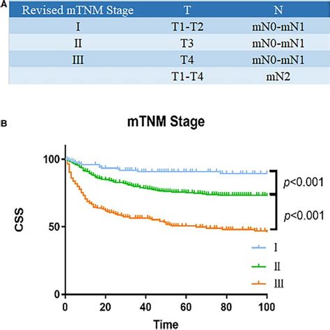 Survival Analysis Of Revised Mtnm Staging System A Modified Mtnm