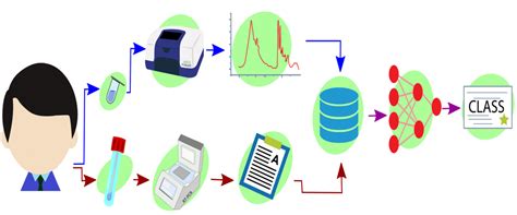 Detection Of People Positive To Covid Through Atr Ftir Spectra