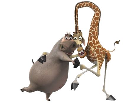 Melman And Gloria Png 3 By Miguelucm On Deviantart