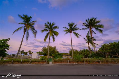 Jupiter Beach Coconut Trees | HDR Photography by Captain Kimo