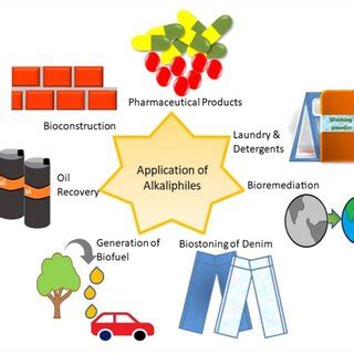 Different ways of bioleaching [Red mud bioleaching: A) One-step... | Download Scientific Diagram