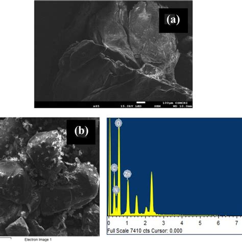 Sem Image Of Pure Chitosan A Zn Cs B And Edx Pattern Of The