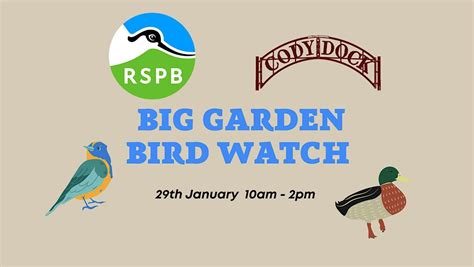 London RSPB Big Garden Birdwatch, Cody Dock, London, 29 January 2023