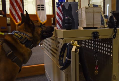 Dvids Images Wolf Pack Says Final Farewell To Mwd Alan Image 6 Of 7