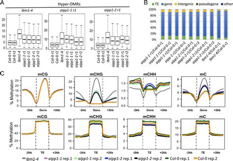 Aipp1 Controls Gene Body Chg Methylation A Boxplot Diagram Showing