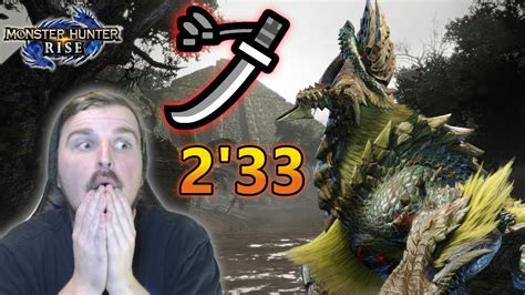 Emergency Apex Zinogre Speedrun Longsword Monster Hunter Rise Pc