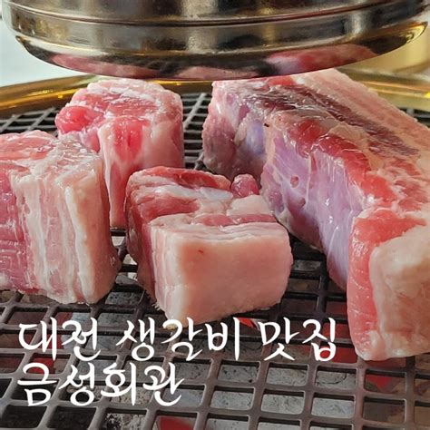 대전 동구청 가오동 맛집 금성회관 양념갈비 맛집 네이버 블로그