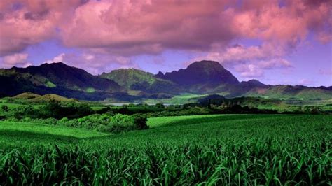 Wallpaper Nature Hawaii Landscape Mountains Horizon Clouds