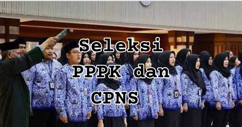 Seleksi Pppk Dibedakan Khusus Dan Umum Simak Perbedaan Keduanya Di Sini