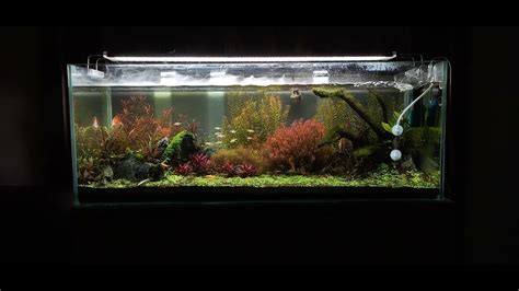 FEEL THE NATURE OF AQUARIUM Update Of 4feet Aquarium In Hosur