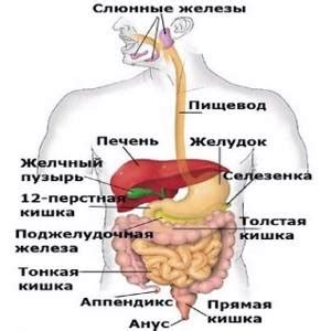 Приседания при аритмии сердца по неумывакину