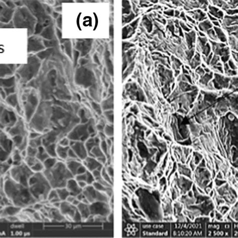 The Tensile Fracture Surface Morphology Of Ti 6al 7nb Titanium Alloy At Download Scientific