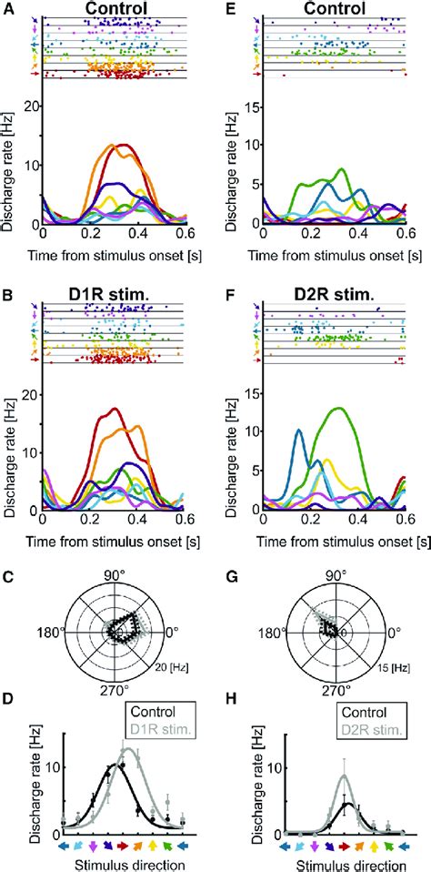 Visual Motion Direction Selectivity Of Two PFC Neurons In Control And