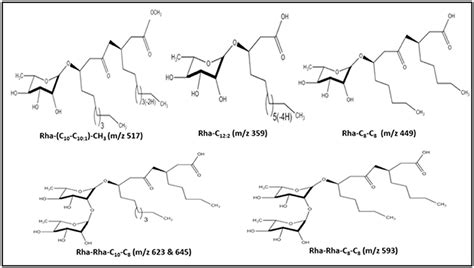 Frontiers Characterization Of Biosurfactant Produced During