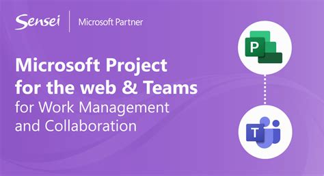 Sensei Project Solutions™ Achieve Your Strategic Goals