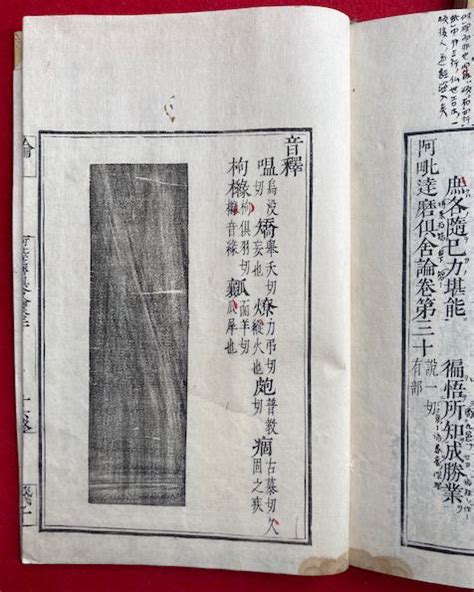 阿毘達磨倶舎論 30卷9冊揃 豊山快道書込み本世親造・玄奘奉詔訳 うたたね文庫 古本、中古本、古書籍の通販は「日本の古本屋」