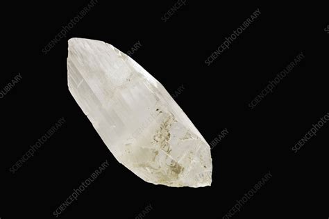 Gypsum crystal - Stock Image - C022/4446 - Science Photo Library