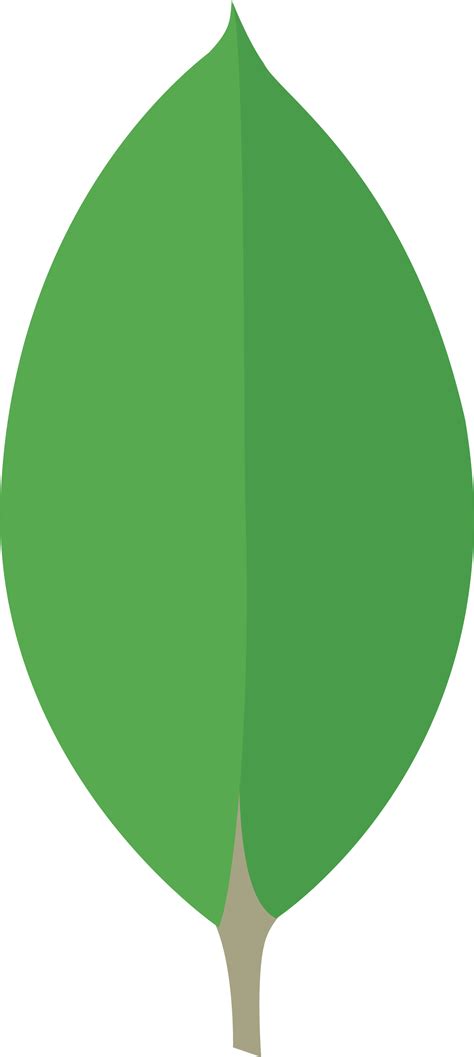 Mongodb Icon Mongodb Svg Free Transparent Png Download Pngkey