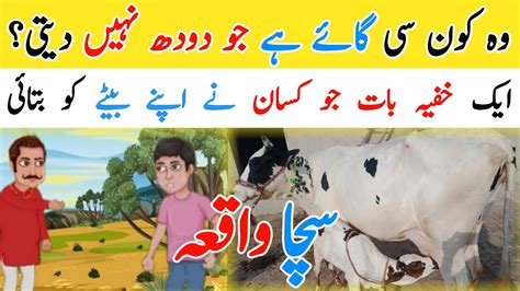 Gay Doodh Nahin Deti Sacha Waqiya Kisan Aur Us Ka Beta Ali Farooqi Voice Youtube