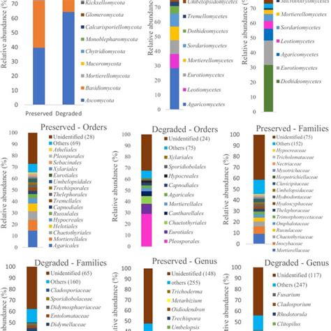 Relative Abundance Of Different Taxonomic Levels Of Fungi Found In Soil