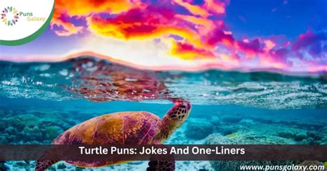 200 Turtle Puns Jokes And One Liners