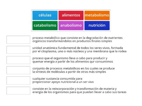 Alimentos Y Metabolismo Une Las Correspondencias