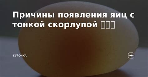 Причины появления яиц с тонкой скорлупой 🥚🥚🥚 | Курочка | Дзен