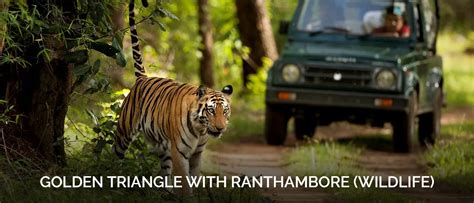 Golden Triangle With Ranthambore Tour packages - Kita Private Taxi