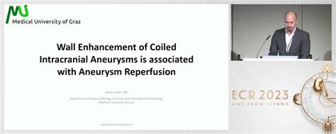 Neuroradiological Interventions Esr Connect