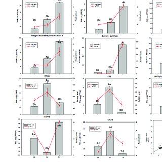 The Expression Of 11 DEGs And Comparison Between QRTPCR And RNAseq