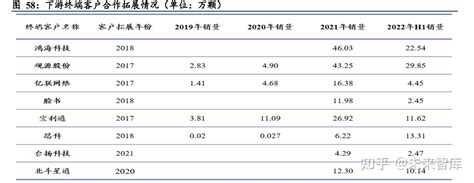 龙迅股份研究报告：国内高清视频芯片领军者，赛道好成长性高 知乎